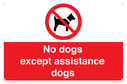 no-dogs-except-assistance-dogs~